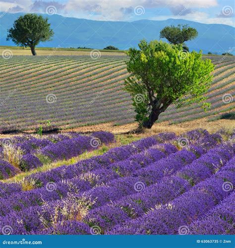 Provence Landscape France Stock Image Image Of Colorful 63063735