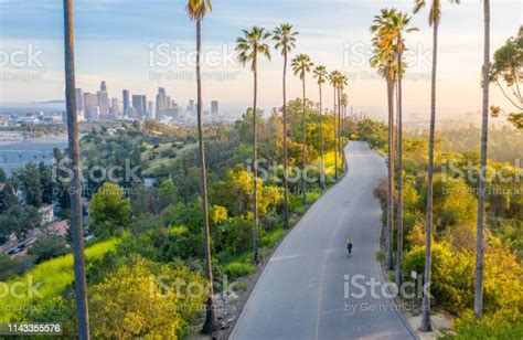 다운 타운 로스 앤젤레스를 드러내는 야자수 거리를 걷는 젊은 여자 로스앤젤레스 시에 대한 스톡 사진 및 기타 이미지 로스앤젤레스 시 로스앤젤레스 카운티 캘리포니아