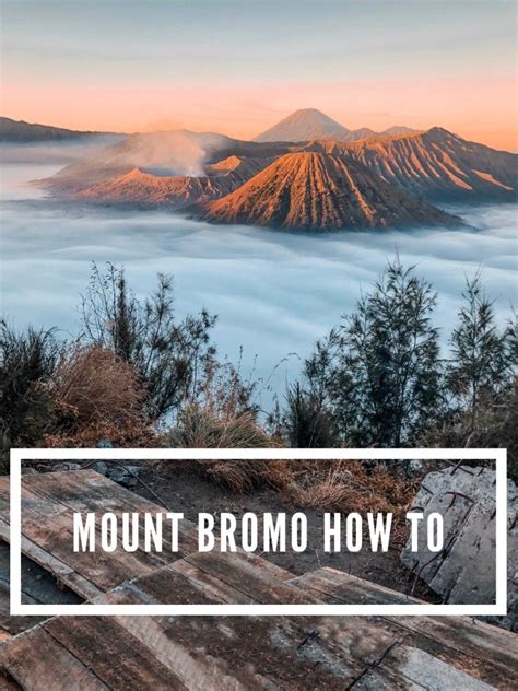 Mount Bromo How To Sticks To City Slicks Travel Photography Travel