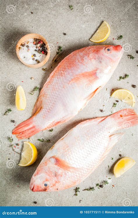 Fresh Raw Fish Pink Tilapia Stock Image Image Of Nutrition Fillet