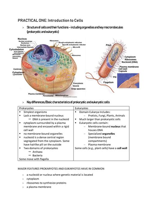 Cell Biology Practical Exam Study Guide Practical One Introduction
