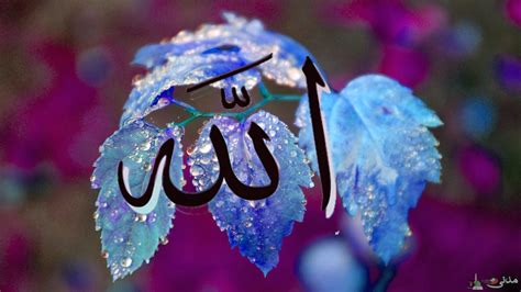 50 Most Beautiful Allah Muhammad Wallpapers Wallpapersafari