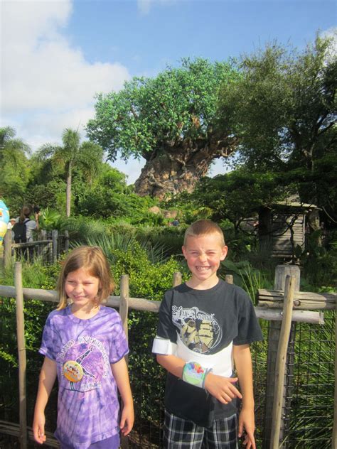 Our Hope Is In The Lord Disneys Animal Kingdom Review