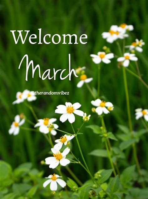 50 Hello March Images Pictures Quotes And Pics 2022 In 2022
