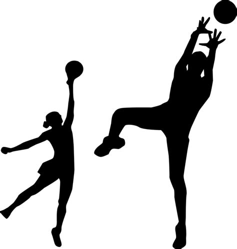 Volleyball Basketball Sport · Free Vector Graphic On Pixabay