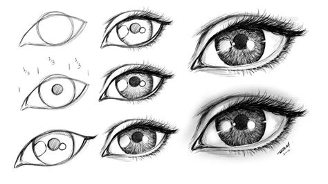How To Draw Realistic Eyes Easy Step By Step ~ Realistic Eye Step By Step Pencil Drawing On