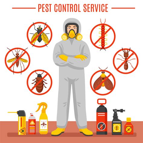 Identifying Common Household Pests Pest Identification Guide
