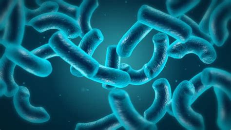 Glowing Microorganisms High Quality 3d Animation Stock