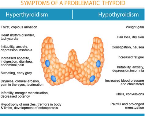 Thyroid And Adrenal Dysfunction Sunrise Functional Medicine