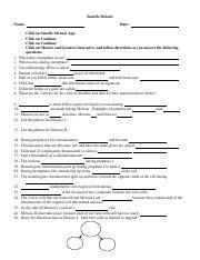 Extend the join to buy and create bargains to download and install answers snurfle meiosis hence simple! Snurfle Meiosis Worksheet.docx - Snurfle Meiosis Name Date ...