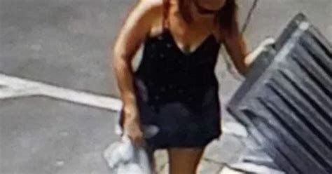 puppies in dumpster coachella woman who allegedly threw 7 newborn puppies into southern