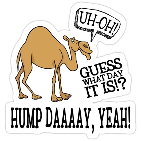 Top 101 Wallpaper Happy Hump Day Camel Picture Excellent 092023