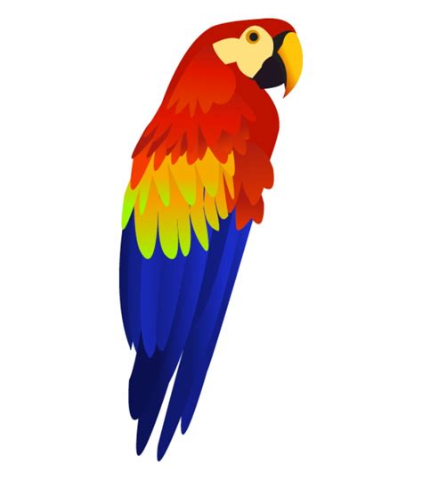 Download High Quality Parrot Clipart Abstract Transparent Png Images