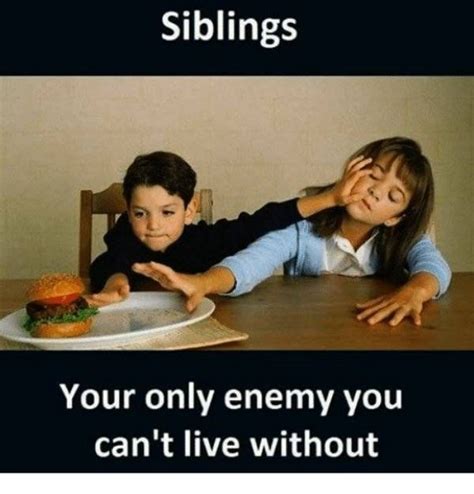 37 Sibling Memes That Prove They Can Be So Annoying Sister Quotes