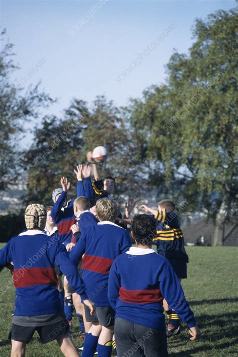 Rugby Stock Image P9600260 Science Photo Library