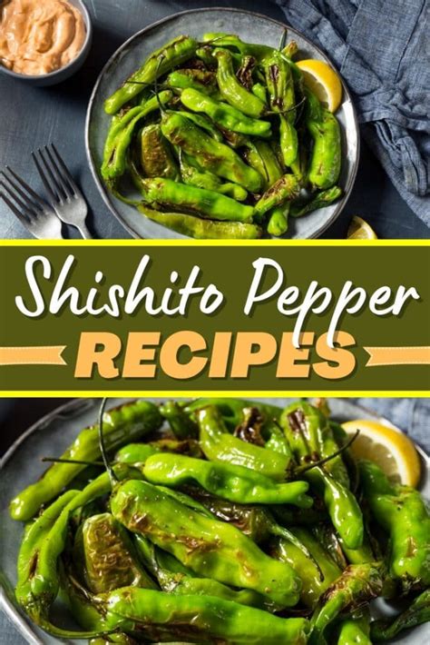 8 Best Shishito Pepper Recipes Quick Easy Insanely Good