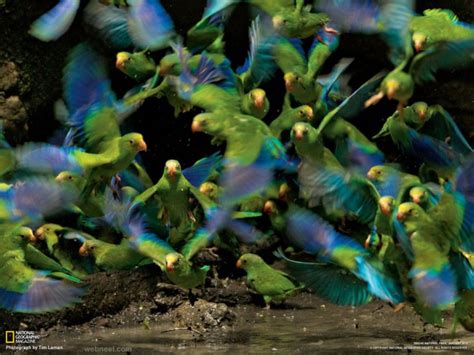 30 Award Winning Wildlife Photography Examples