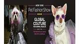Pet Fashion Show