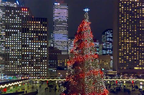 Toronto Is About To Get Canadas Biggest Christmas Tree