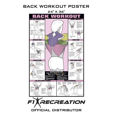 F1 Recreation Original Abdominal Workout Poster Men Nfc8b F1 Recreation