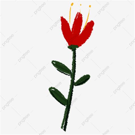 Red Plant Flower Bloom Png Cartoon Illustration Plant Red Imagem