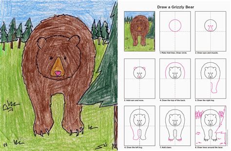 How To Draw A Grizzly Bear Art Projects For Kids Bloglovin