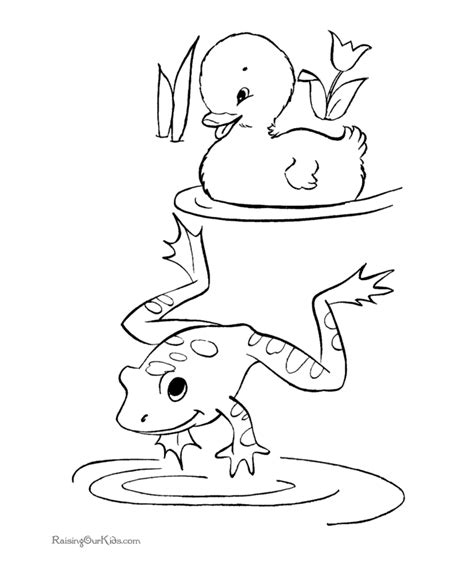 Free Printable Frog Coloring Pages 008