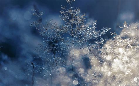 Nw53 Snow Bokeh Light Beautiful Nature Blue Wallpaper