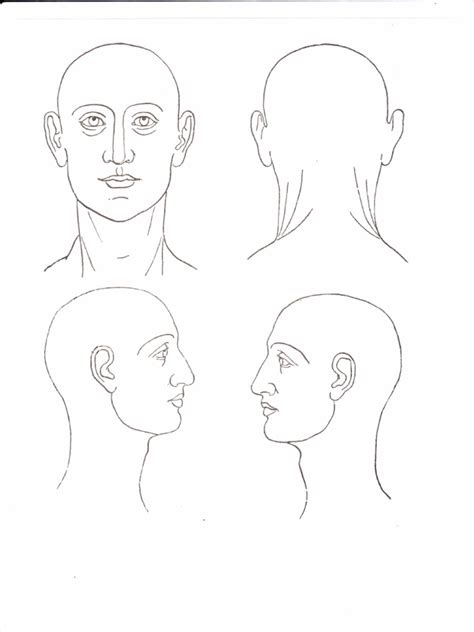 Autopsy Diagram Male Head And Neck Pdf