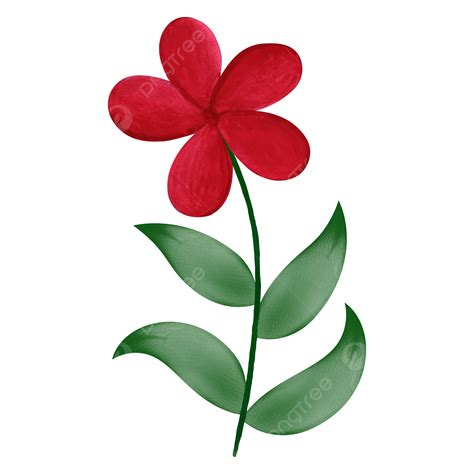 Gambar Vektor Bunga Cat Air Merah Dan Daun Clipart Bunga Cat Air