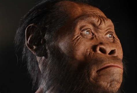 Early Humans Co Existed In Africa With Human Like Species 300000 Years