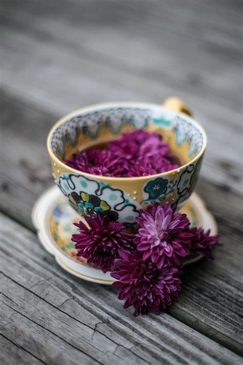 Free Images Table Tea Flower Purple Petal Cup Food Produce