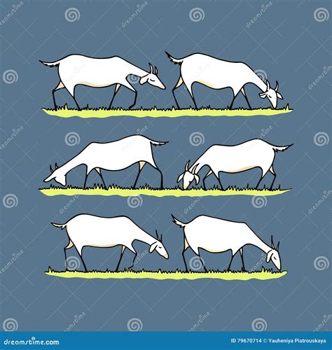 Goat Herd Illustration Stock Vector Illustration Of Fresh 79670714