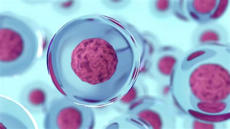 significant advances in stem cell care beautiful forever