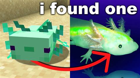 I Bought My Friend The Rarest Minecraft Axolotl In Real Life Youtube