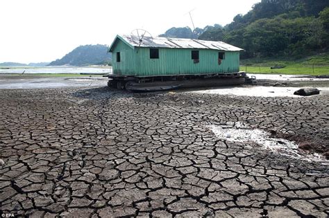The Amazon Rainforest Drought In Brazils Worst Dry Spell For 100 Years