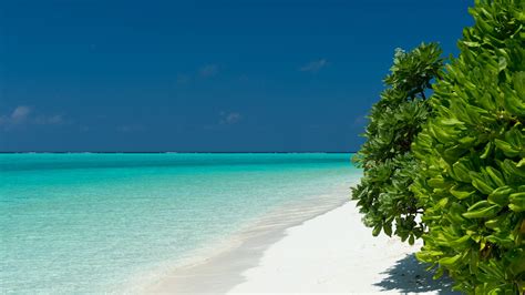Download Wallpaper Turquoise Waters Of Maldives 1920x1080