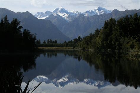 Lake Matheson Images N Details Fresh Water