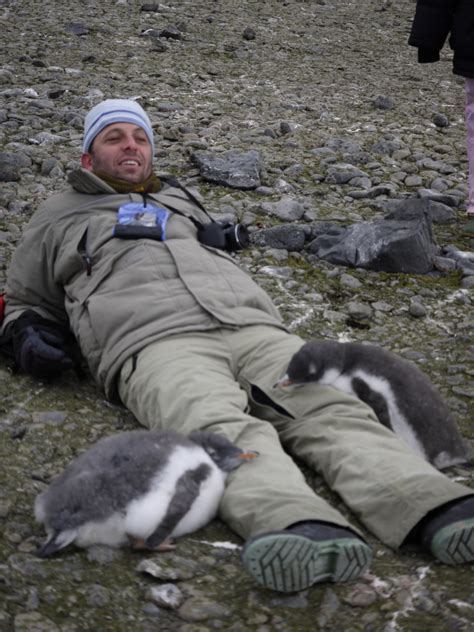 南極にいるペンギンが人懐っこすぎワロタ写真 オモシロ画像の集積