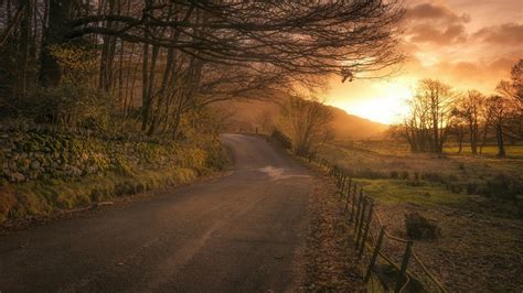 Countryside Road Trees And Sunshine Wallpapers Wallpaper Cave