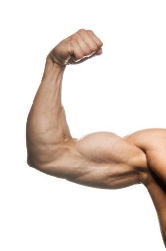 Flexed Mans Biceps Stock Photo Download Image Now Istock