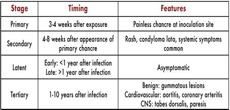Stages Of Syphilis Infection