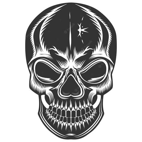 Premium Vector Skull Design And Skull Vector Art