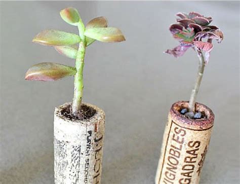 How To Turn Old Wine Corks Into Miniature Planters