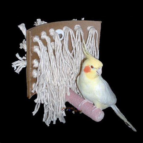 Might Have To Try And Make This For The Bop Homemade Bird Toys Diy