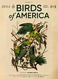 Birds of America - Documentaire (2020) - SensCritique