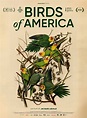 Birds of America - Documentaire (2020) - SensCritique