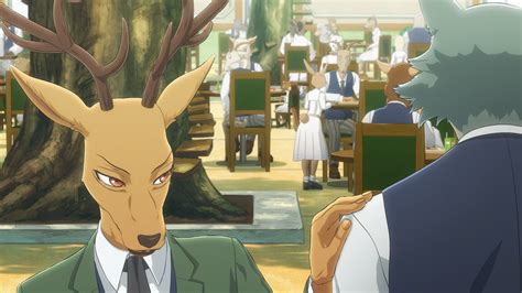 Beastars 02 Lost In Anime