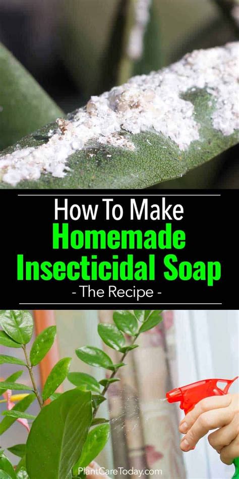 Natural soap making for beginners: Homemade Insecticidal Soap: How To Make DIY Recipe ...
