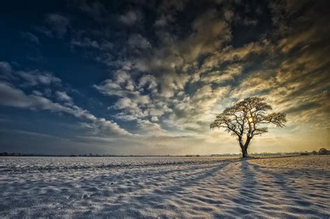 Yorkshire England Snow Tree Sunrise Clouds Winter Wallpaper 1920x1278